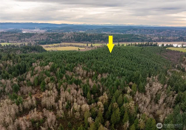 Photo 3 of Land for sale at 216 Xx Zenkner Valley Rd Sw, Centralia, WA 98531 | MLS# NWM2464772 | Listing updated on 2026-09-17
