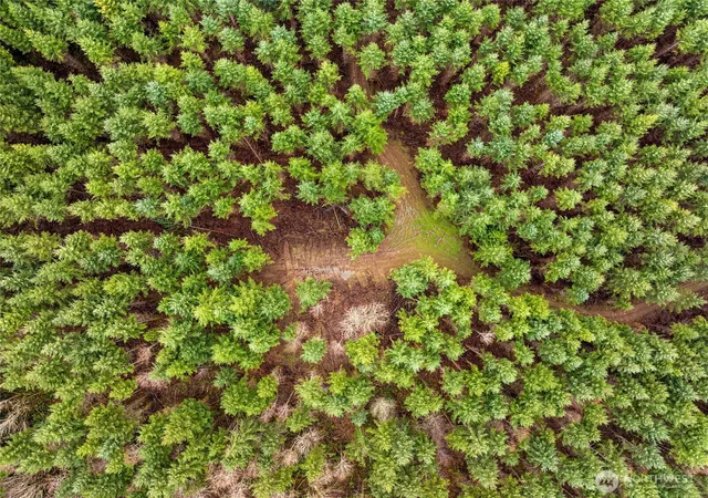 Photo 4 of Land for sale at 216 Xx Zenkner Valley Rd SW, Centralia, WA 98531 | MLS# NWM2464772 | Listing updated on 2026-09-17