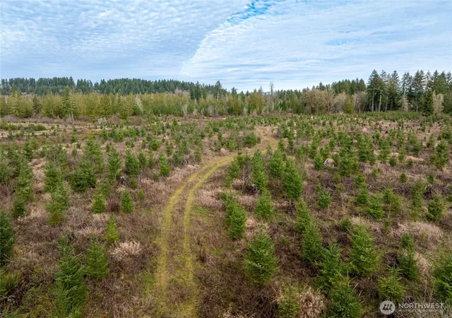 Photo 1 of Land for sale at 14 Xx Spencer Rd, Onalaska, WA 98570 | MLS# NWM2464805 | Listing updated on 2026-09-17