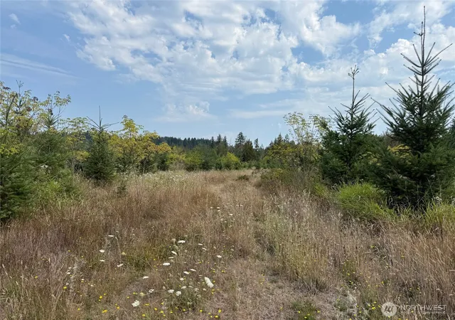 Photo 3 of Land for sale at 14 Xx Spencer Rd, Onalaska, WA 98570 | MLS# NWM2464805 | Listing updated on 2026-09-17