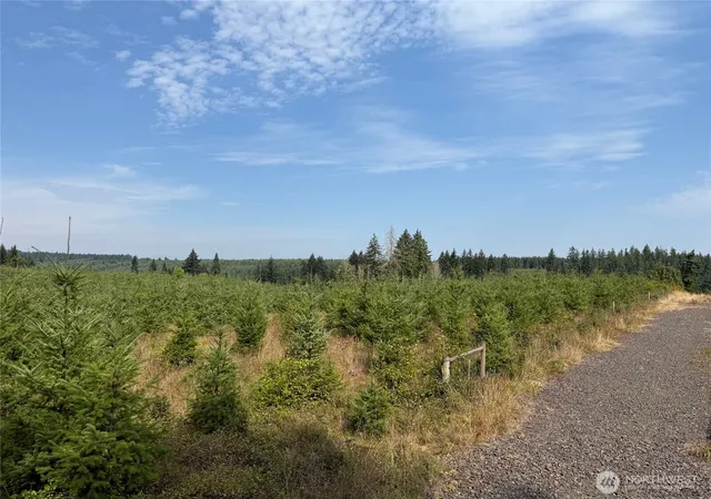 Photo 3 of Land for sale at 14 Xx Spencer Rd, Onalaska, WA 98570 | MLS# NWM2464805 | Listing updated on 2026-09-17