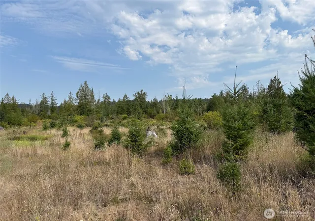 Photo 4 of Land for sale at 14 Xx Spencer Rd, Onalaska, WA 98570 | MLS# NWM2464805 | Listing updated on 2026-09-17