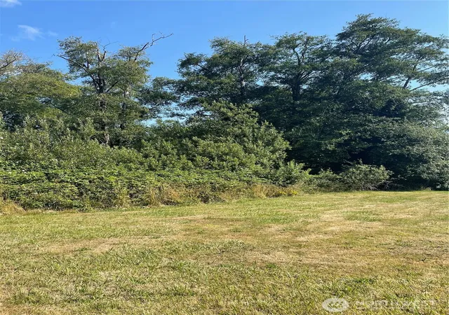 Photo 3 of Land for sale at 0 Godfrey St, Raymond, WA 98577 | MLS# NWM2465153 | Listing updated on 2026-09-17