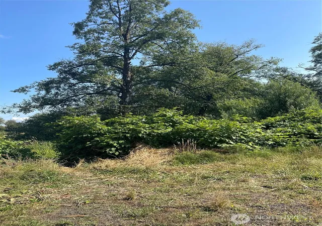 Photo 4 of Land for sale at 0 Godfrey St, Raymond, WA 98577 | MLS# NWM2465153 | Listing updated on 2026-09-17