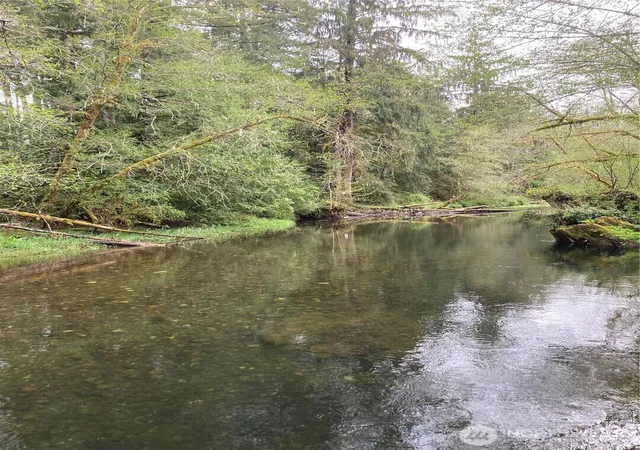 Photo 3 of Land for sale at 0 E Of Bingham Crk, Elma, WA 98541 | MLS# NWM2465199 | Listing updated on 2026-09-29