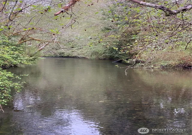 Photo 3 of Land for sale at 0 E Of Bingham Crk, Elma, WA 98541 | MLS# NWM2465199 | Listing updated on 2026-09-29