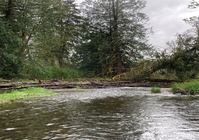Photo 4 of Land for sale at 0 E Of Bingham Crk, Elma, WA 98541 | MLS# NWM2465199 | Listing updated on 2026-09-29