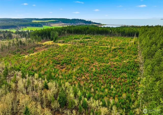 Photo 3 of Land for sale at 0 Swantown Rd, Oak Harbor, WA 98277 | MLS# NWM2465226 | Listing updated on 2026-09-17