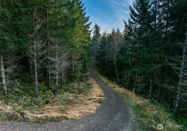 Photo 3 of Land for sale at 50 X Winston Crk Rd, Mossyrock, WA 98564 | MLS# NWM2465337 | Listing updated on 2026-09-17