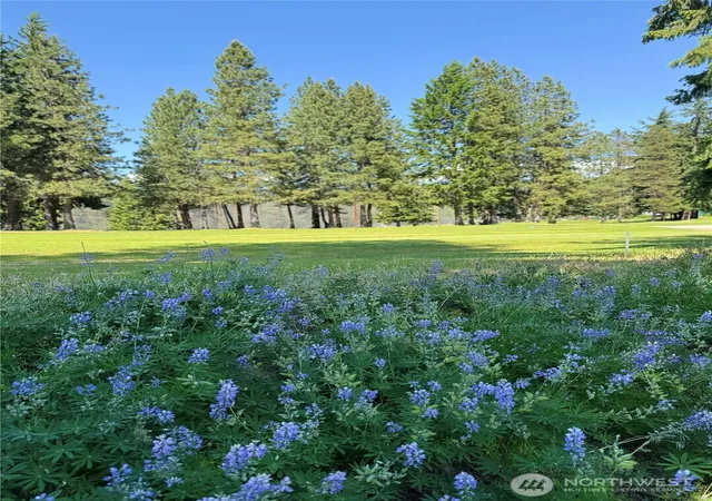 Land for sale at 20637 Miracle Mile, Leavenworth, WA 98826 | MLS# NWM2465865
