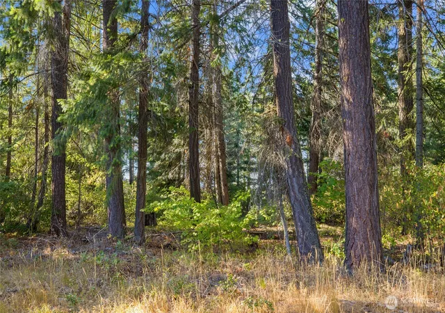 Photo 2 of Land for sale at 2040 Ruby King Loop, Cle Elum, WA 98922 | MLS# NWM2465936 | Listing updated on 2026-09-17