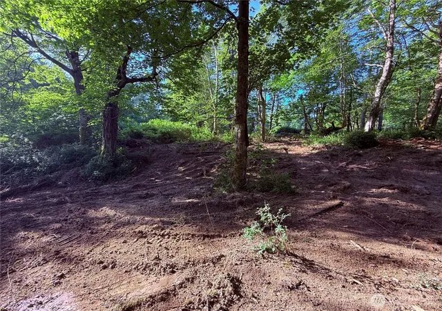 Photo 3 of Land for sale at 75 F Beach Way, Hat Island, WA 98206 | MLS# NWM2466096 | Listing updated on 2026-09-17