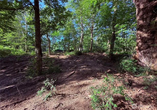 Photo 3 of Land for sale at 75 F Beach Way, Hat Island, WA 98206 | MLS# NWM2466096 | Listing updated on 2026-09-17