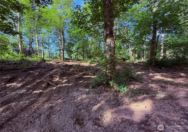 Photo 4 of Land for sale at 75 F Beach Way, Hat Island, WA 98206 | MLS# NWM2466096 | Listing updated on 2026-09-17