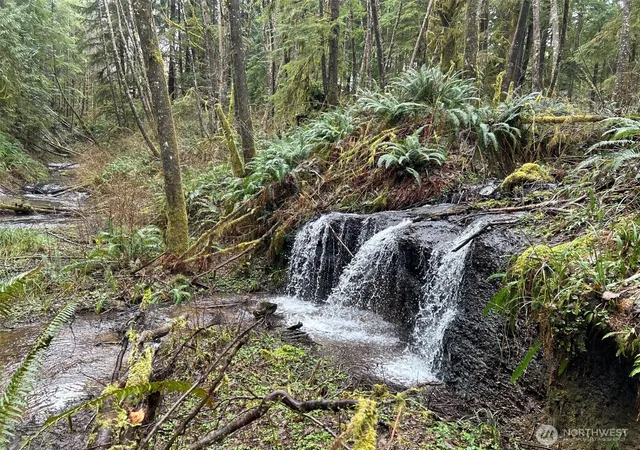 Photo 1 of Land for sale at 155 Ocean Beach Rd, Hoquiam, WA 98550 | MLS# NWM2466333 | Listing updated on 2026-09-17
