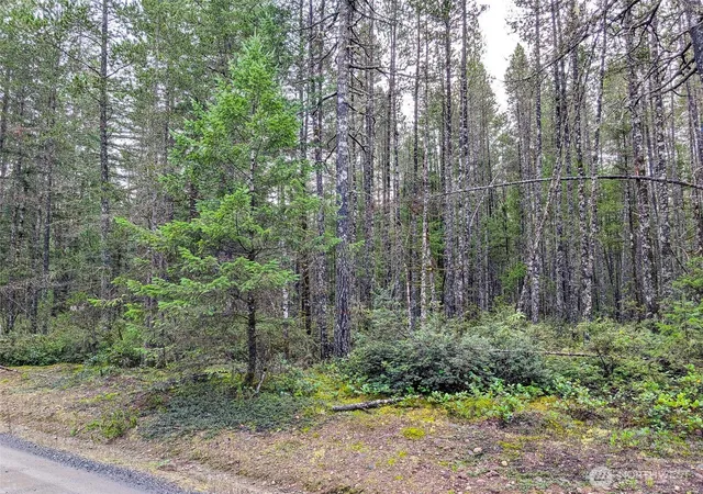 Photo 3 of Land for sale at 0 Ne Tr42 Sides Way, Belfair, WA 98528 | MLS# NWM2466504 | Listing updated on 2026-09-17