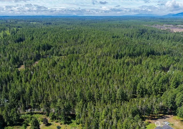 Photo 3 of Land for sale at 0 NE Tr42 Sides Way, Belfair, WA 98528 | MLS# NWM2466504 | Listing updated on 2026-09-17