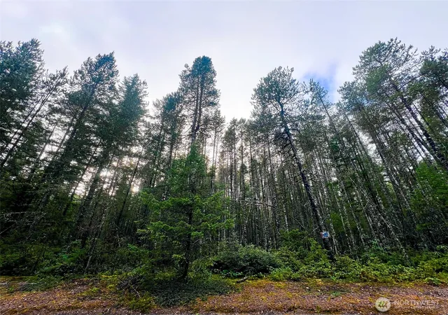 Photo 4 of Land for sale at 0 NE Tr42 Sides Way, Belfair, WA 98528 | MLS# NWM2466504 | Listing updated on 2026-09-17