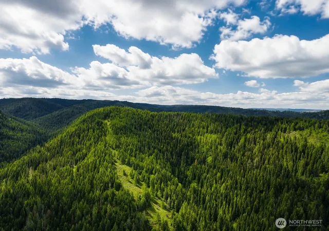 Photo 1 of Land for sale at 30 Acres Off Biscuit Ridge, Waitsburg, WA 99361 | MLS# NWM2466718 | Listing updated on 2026-09-17