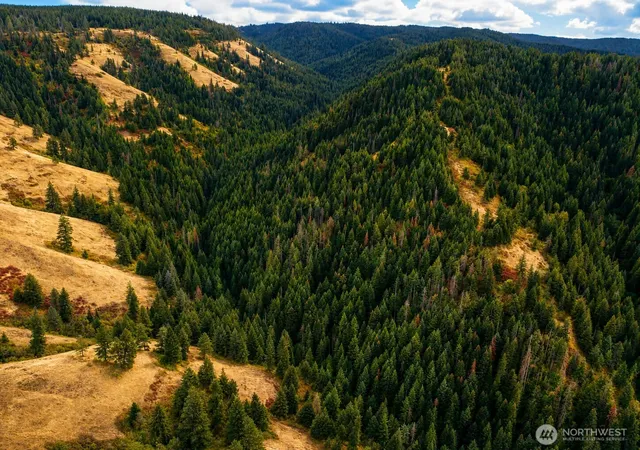 Photo 3 of Land for sale at 30 Acres Off Biscuit Ridge, Waitsburg, WA 99361 | MLS# NWM2466718 | Listing updated on 2026-09-17