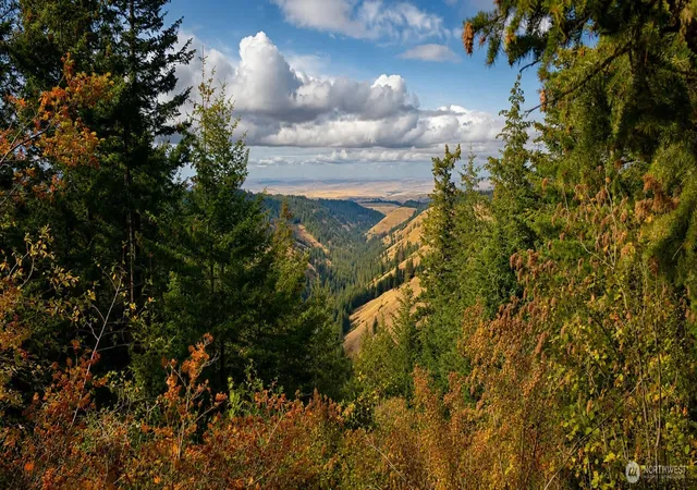 Photo 4 of Land for sale at 30 Acres Off Biscuit Ridge, Waitsburg, WA 99361 | MLS# NWM2466718 | Listing updated on 2026-09-17