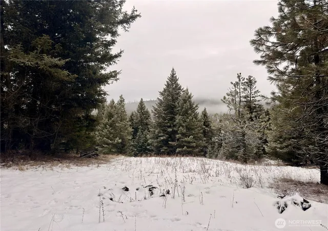 Photo 1 of Land for sale at 25 Miner's Ridge Rd, Oroville, WA 98844 | MLS# NWM2467149 | Listing updated on 2026-09-17