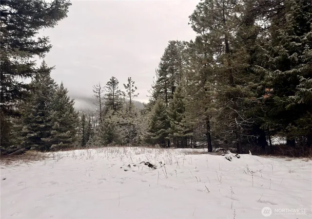 Photo 2 of Land for sale at 25 Miner's Ridge Rd, Oroville, WA 98844 | MLS# NWM2467149 | Listing updated on 2026-09-17
