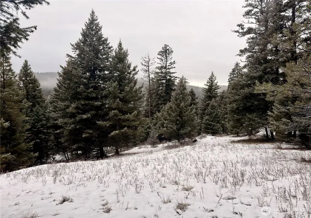 Photo 3 of Land for sale at 25 Miner's Ridge Rd, Oroville, WA 98844 | MLS# NWM2467149 | Listing updated on 2026-09-17