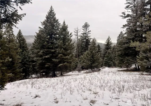 Photo 3 of Land for sale at 25 Miner's Ridge Rd, Oroville, WA 98844 | MLS# NWM2467149 | Listing updated on 2026-09-17