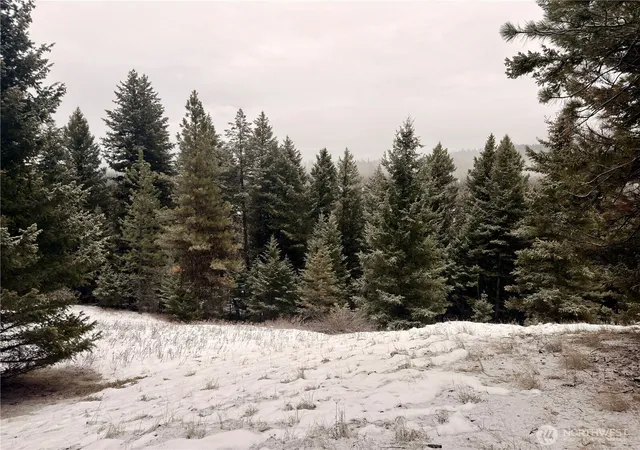 Photo 4 of Land for sale at 25 Miner's Ridge Rd, Oroville, WA 98844 | MLS# NWM2467149 | Listing updated on 2026-09-17