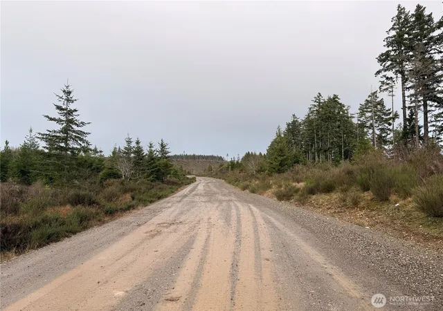 Photo 1 of Land for sale at 1 Xx W California Rd, Shelton, WA 98584 | MLS# NWM2467510 | Listing updated on 2026-09-17