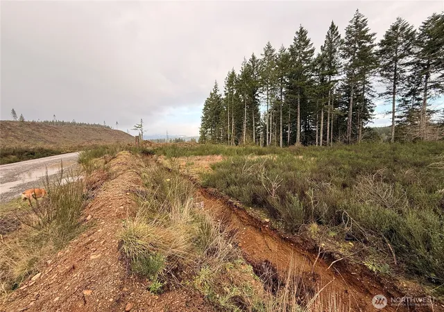 Photo 2 of Land for sale at 1 Xx W California Rd, Shelton, WA 98584 | MLS# NWM2467510 | Listing updated on 2026-09-17