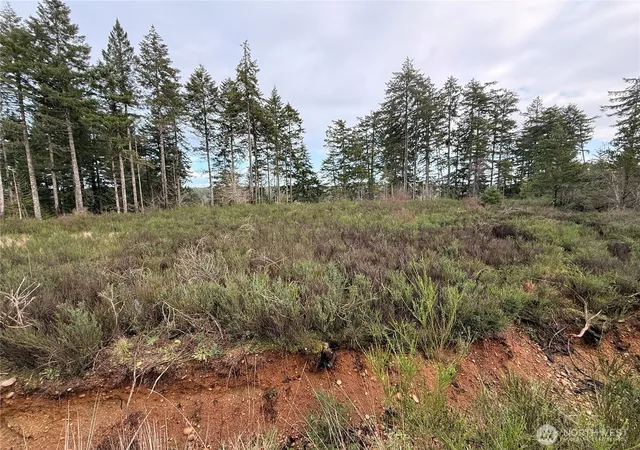 Photo 3 of Land for sale at 1 Xx W California Rd, Shelton, WA 98584 | MLS# NWM2467510 | Listing updated on 2026-09-17