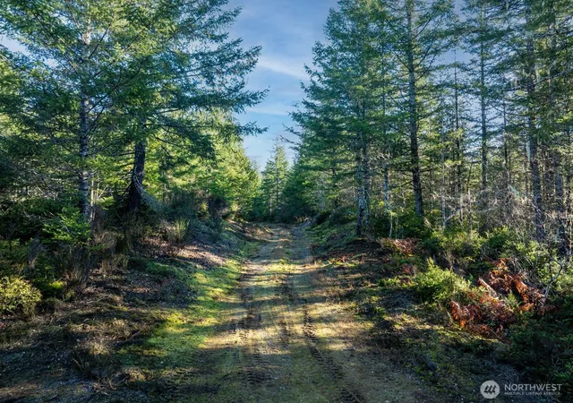 Photo 2 of Land for sale at 10 E Xx Shetland Rd, Shelton, WA 98584 | MLS# NWM2467513 | Listing updated on 2026-09-17