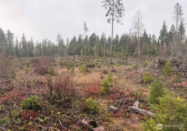 Photo 3 of Land for sale at 10 E Xx Shetland Rd, Shelton, WA 98584 | MLS# NWM2467513 | Listing updated on 2026-09-17