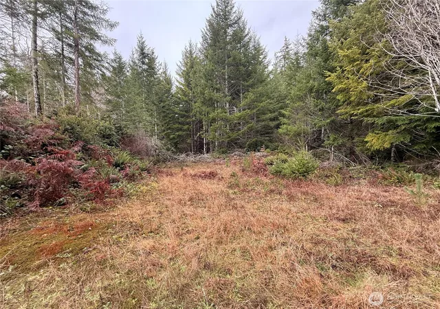 Photo 4 of Land for sale at 10 E Xx Shetland Rd, Shelton, WA 98584 | MLS# NWM2467513 | Listing updated on 2026-09-17