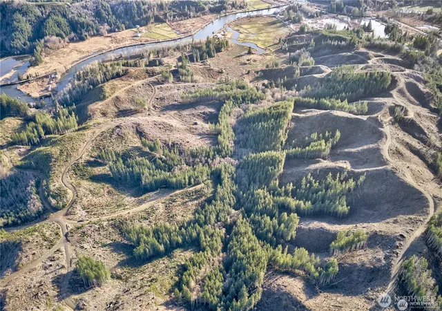 Photo 3 of Land for sale at 0 W Xx Deep River Rd, Naselle, WA 98638 | MLS# NWM2467550 | Listing updated on 2026-09-17