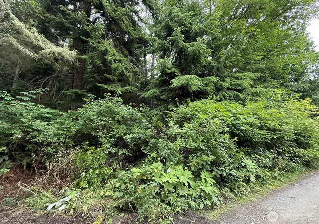 Photo 2 of Land for sale at 0 Hill St, Port Ludlow, WA 98365 | MLS# NWM2467827 | Listing updated on 2026-09-17