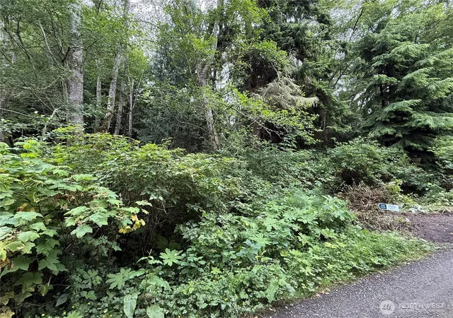 Photo 3 of Land for sale at 0 Hill St, Port Ludlow, WA 98365 | MLS# NWM2467827 | Listing updated on 2026-09-17