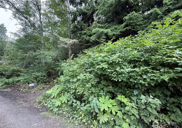 Photo 3 of Land for sale at 0 Hill St, Port Ludlow, WA 98365 | MLS# NWM2467827 | Listing updated on 2026-09-17