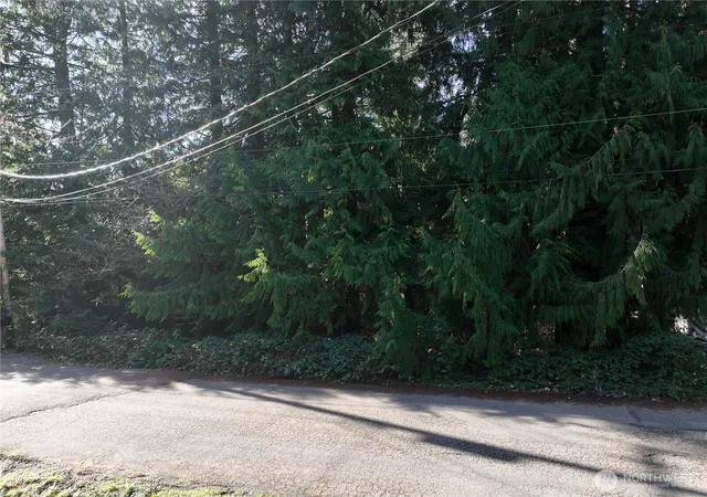 Photo 4 of Land for sale at 0 Xx 211th Pl SE, Sammamish, WA 98074 | MLS# NWM2467839 | Listing updated on 2026-09-17