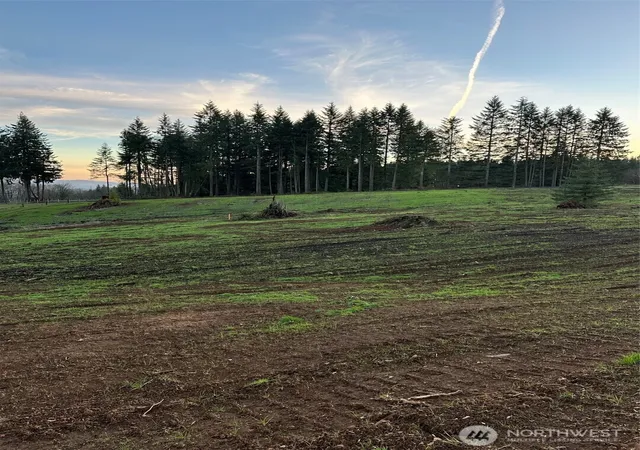 Photo 3 of Land for sale at 208 Suncrest Dr, Castle Rock, WA 98611 | MLS# NWM2467982 | Listing updated on 2026-09-17