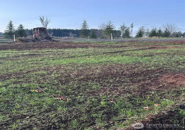 Photo 3 of Land for sale at 239 Suncrest Dr, Castle Rock, WA 98611 | MLS# NWM2468262 | Listing updated on 2026-09-17