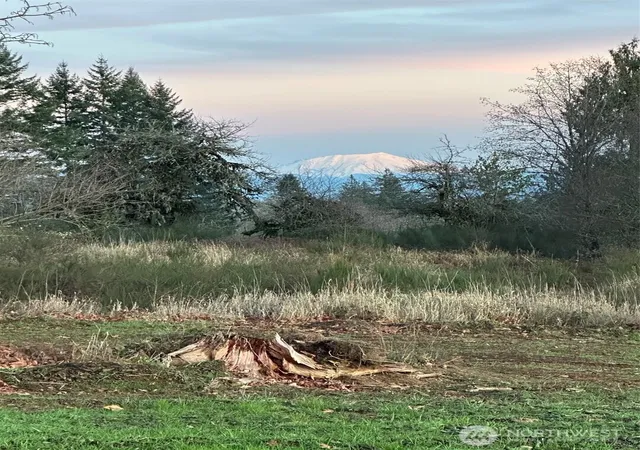 Photo 4 of Land for sale at 239 Suncrest Dr, Castle Rock, WA 98611 | MLS# NWM2468262 | Listing updated on 2026-09-17