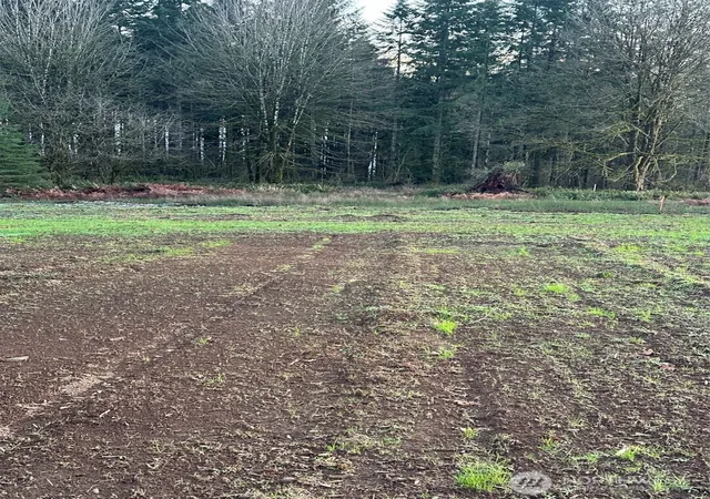 Photo 2 of Land for sale at 245 Suncrest Dr, Castle Rock, WA 98611 | MLS# NWM2468267 | Listing updated on 2026-09-29