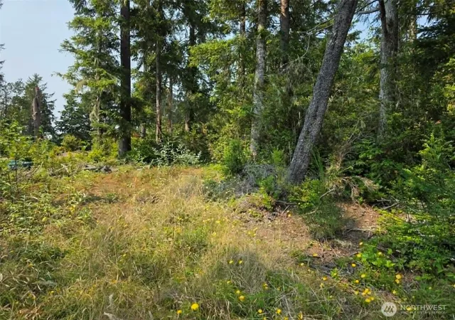 Photo 3 of Land for sale at 27602 U St, Ocean Park, WA 98640 | MLS# NWM2468735 | Listing updated on 2026-09-17