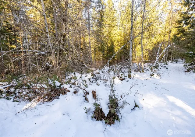 Photo 3 of Land for sale at 0 Firestation Ave NW, Seabeck, WA 98380 | MLS# NWM2468843 | Listing updated on 2026-10-01