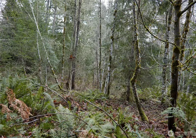 Photo 3 of Land for sale at 63 Nw Xx Anderson Hl Rd, Silverdale, WA 98383 | MLS# NWM2469702 | Listing updated on 2026-09-17