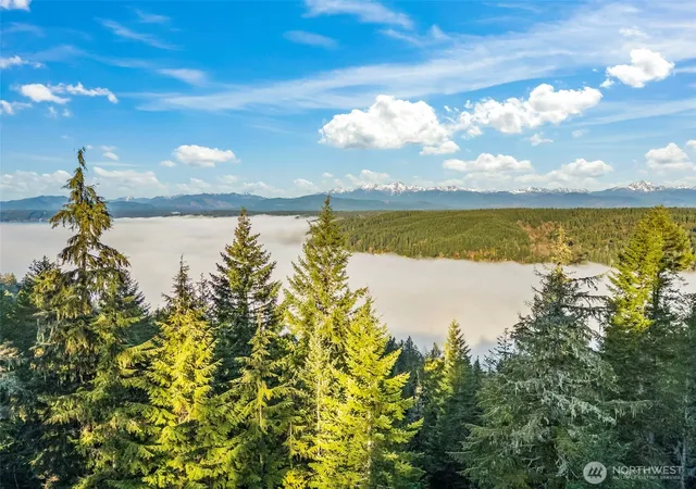 Photo 2 of Land for sale at 1123 E Timber Tides Dr, Union, WA 98592 | MLS# NWM2469861 | Listing updated on 2026-09-17
