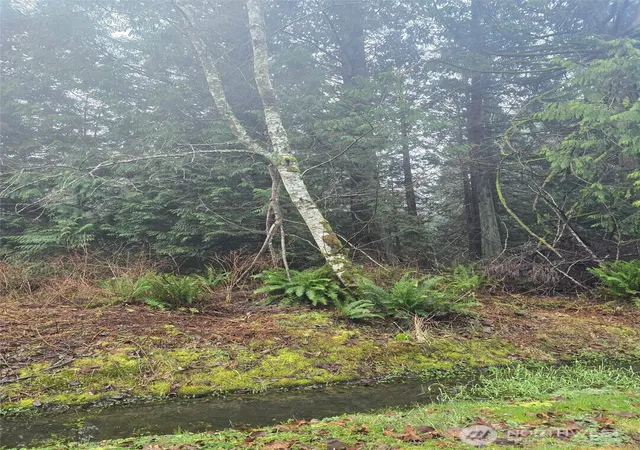 Photo 2 of Sale Pending at 0 Fisherman's Bnd Ln, Blaine, WA 98230 | MLS# NWM2469912 | Listing updated on 2026-09-22